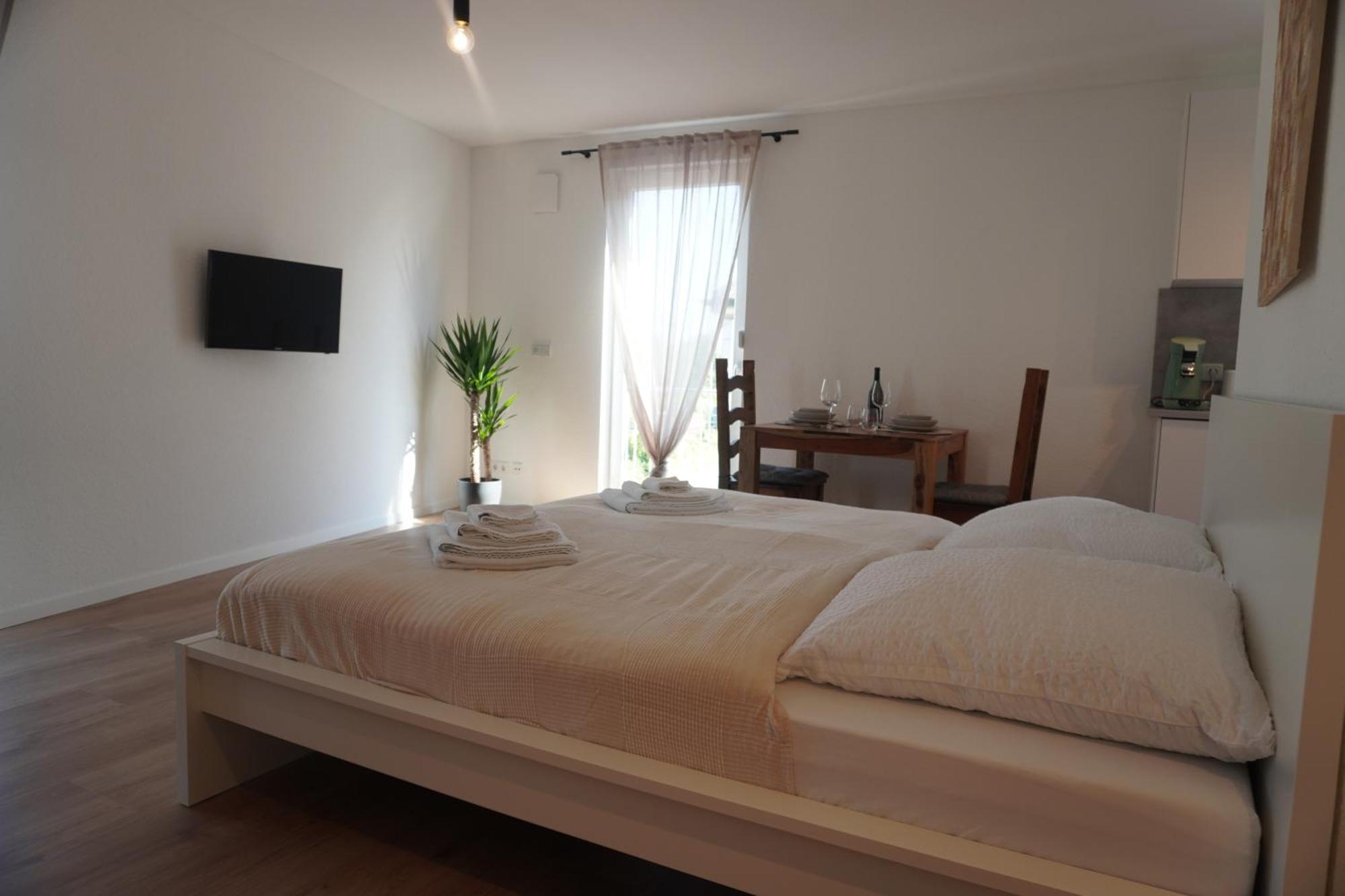 Hb-Living Apartment-Rheinblick Майнц Екстериор снимка